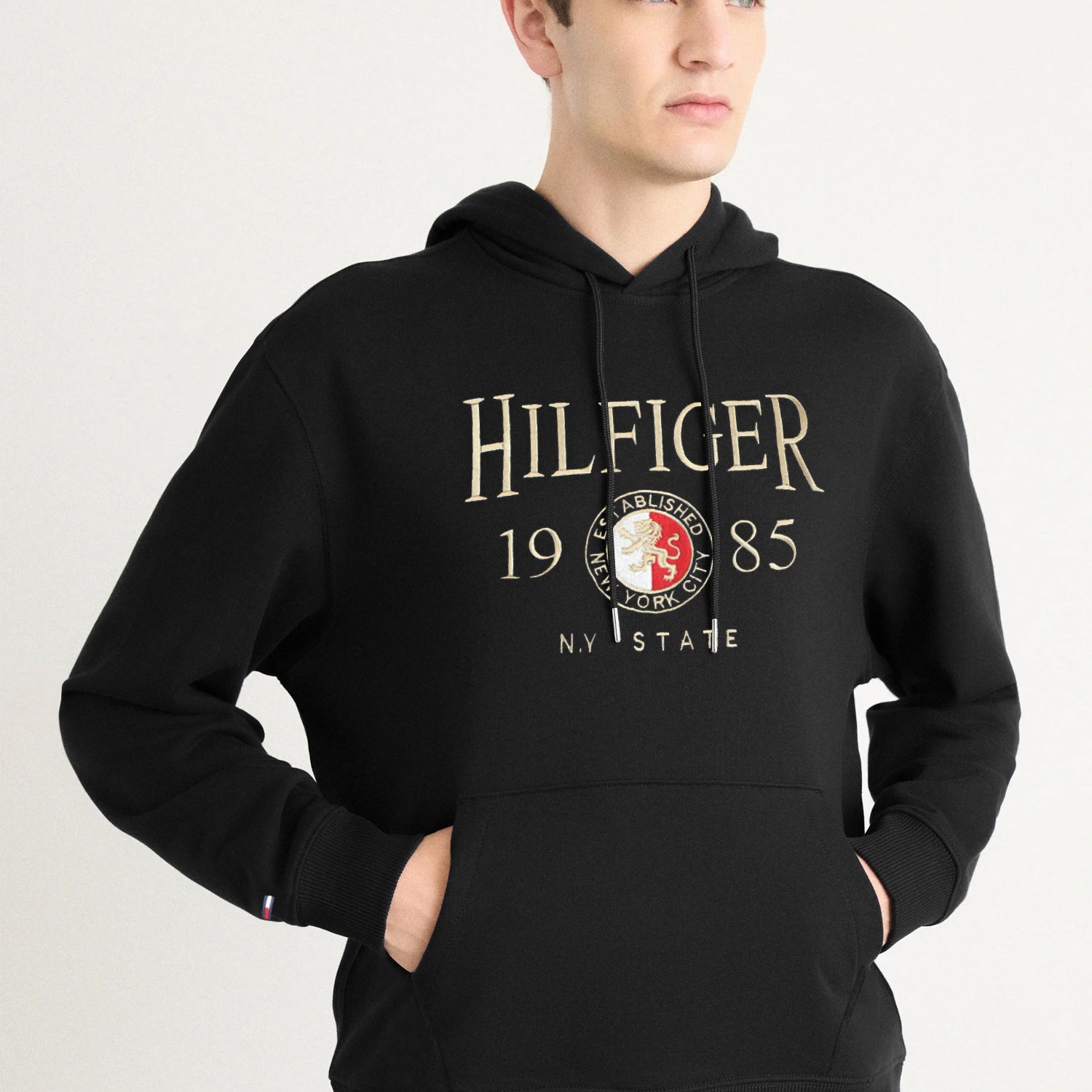 Tmy Hlfgr Icon Crest Essential Men's Fleece Hoodie