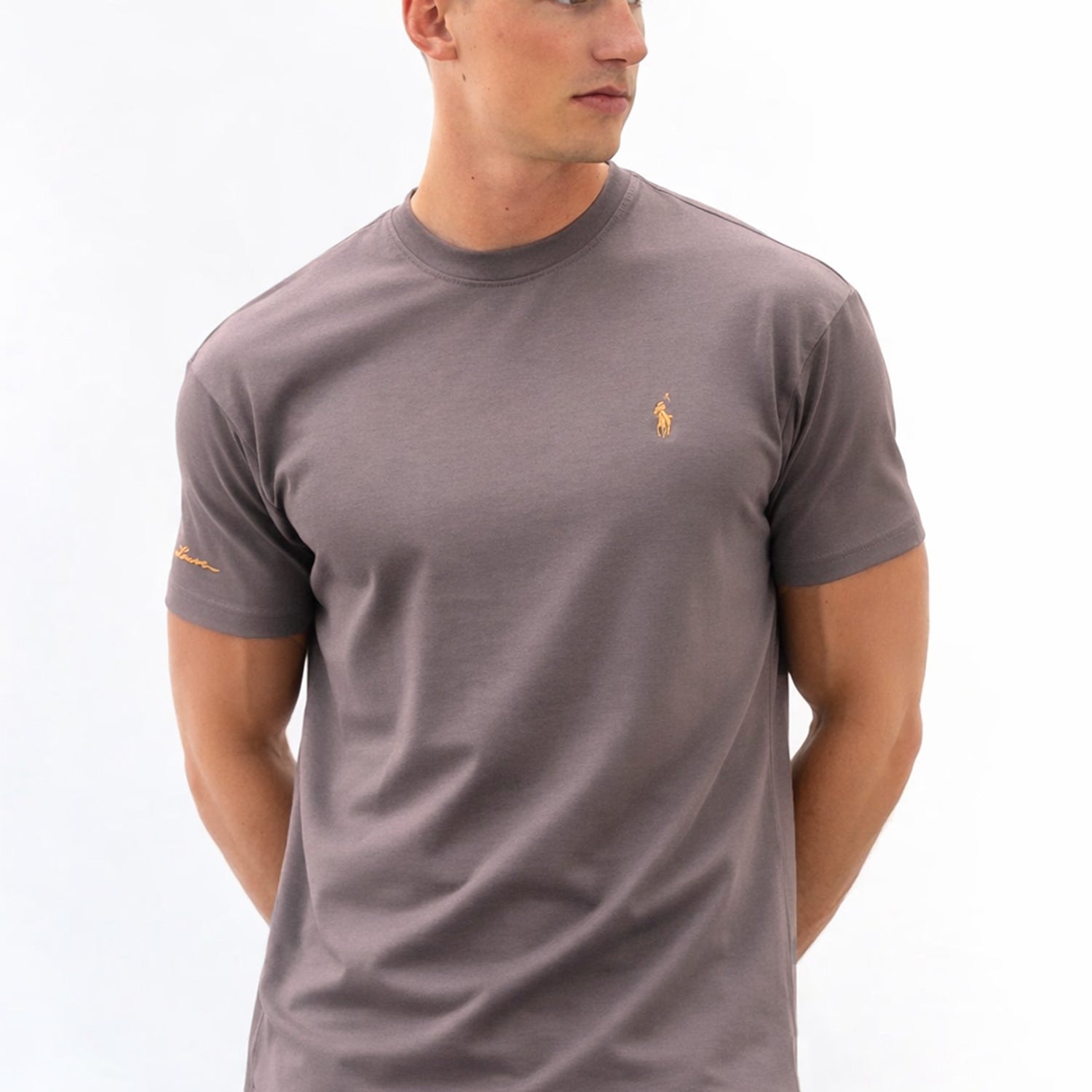 Polo Regular Short Slevees Men's Tee