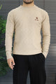 Lro Piana Designer Textured Imported Round Neck Men's Sweater