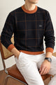 Lcste Windowpane Pattern Imported Men's Sweater