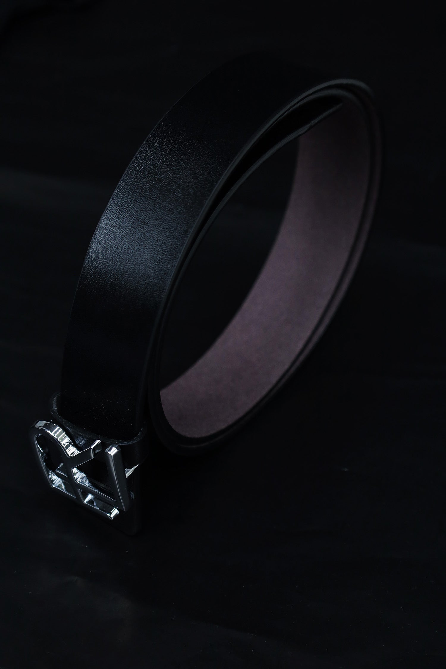 Raph Luren Metal Alloy Automatic Buckle Branded Belt