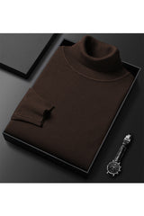 Turtleneck Cashmere High Neck In Chocolate