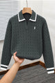 Polo Tricote Collar Imported Men's Sweater