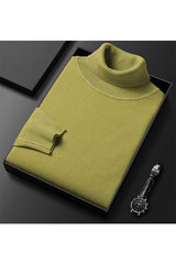 Turtleneck Cashmere High Neck In Light Moss Green