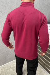 Tmy Hlfgr Embriodered Half Zip Full Sleeves Men's Sweatshirt In Maroon