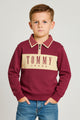 Tomy Hilfiger Varsity Coller Style Unisex Kids SweatShirt