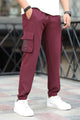 Adds Micro Stretch Slimfit Imported Sportswear Trouser In Plum