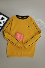 Pma Nocturne Stripe Round Neck Imported Men's Sweatshirt