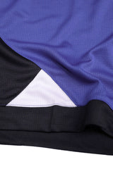 Jrdn Sports Training Splicing Mesh Shorts In Royal Blue
