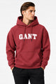 Gnt Regular Shield Men's Hoodie