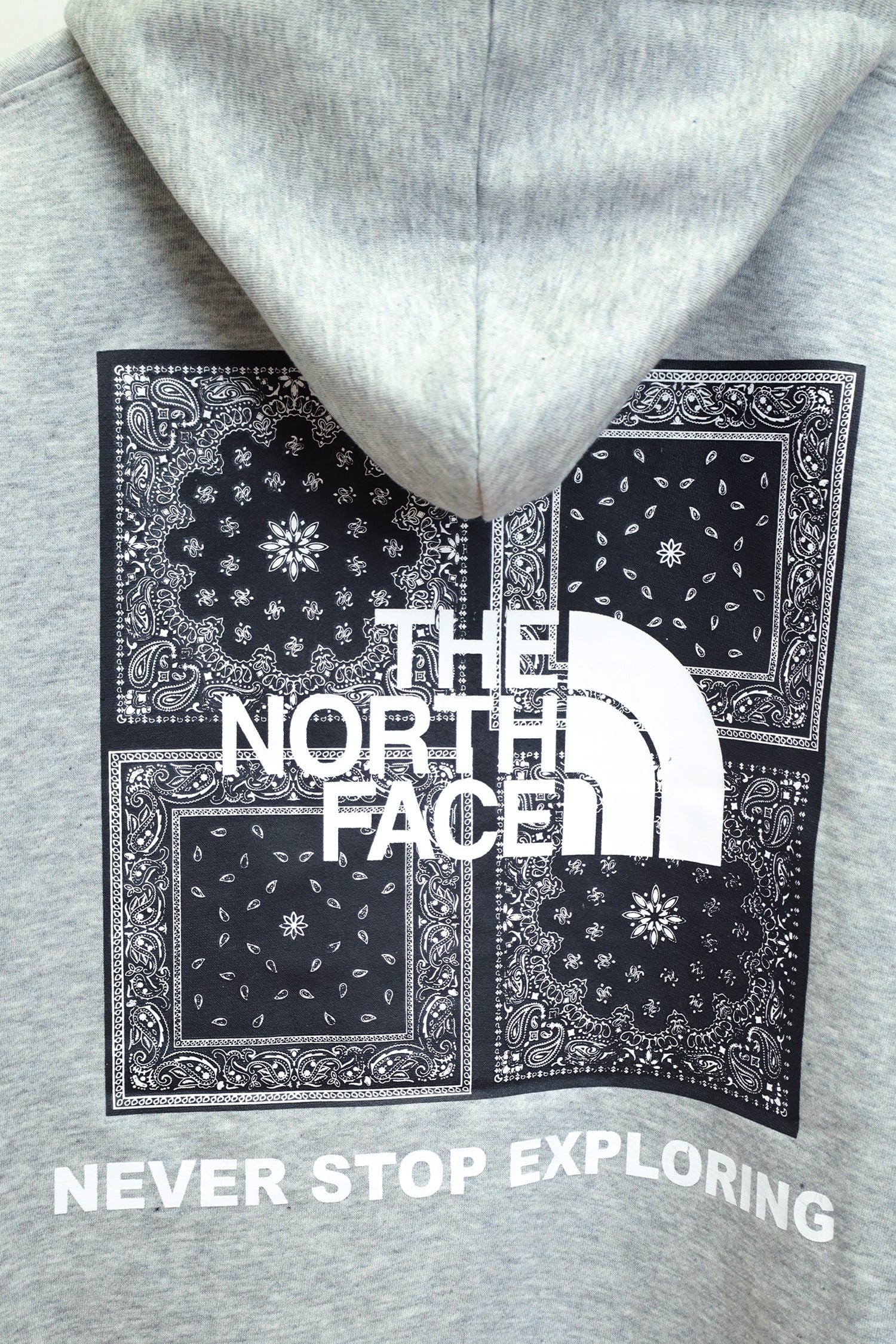 The Nrth Fce Fine Alpine Fleece Hoodie