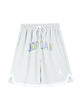 Air Jrdn Mesh Basketball Men's Shorts