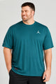 Jrdn Jumpman Logo Style Big & Tall Imp Dry-Fit Tee
