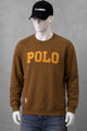 Polo Pony Basic Round Neck Men's Sweatshirt In Brown