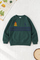 Rph Lren Classic Panneled Round Neck Kid's Sweatshirt In Green