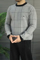 Lcste Windowpane Pattern Imported Men's Sweater In Grey