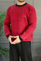 Lcste Windowpane Pattern Imported Men's Sweater In Maroon