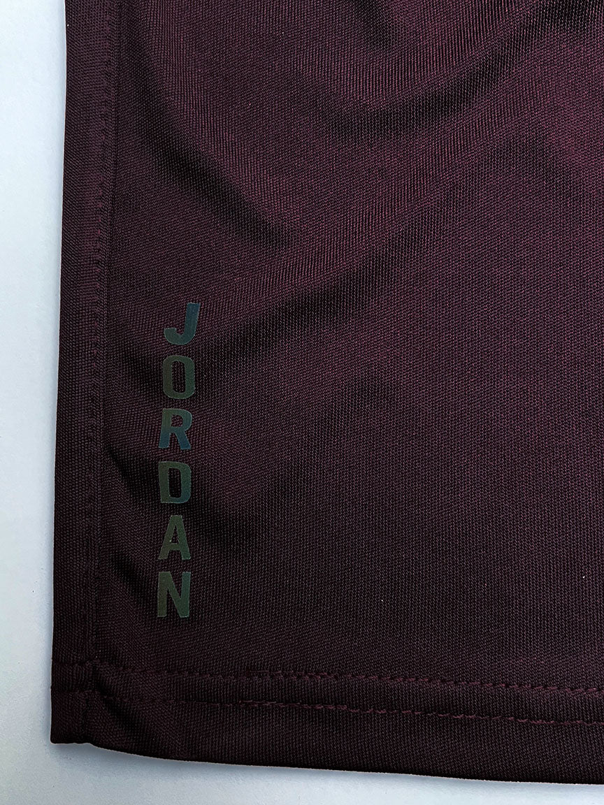Jrdn Reflector Logo Men Shorts
